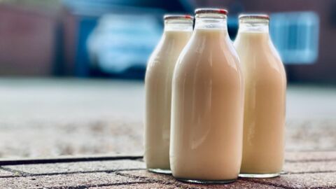 'Sniff test': This is how to tell if your milk has gone bad