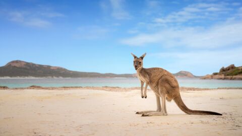 These Images Have Convinced Us to Stay Away From Australia at All Costs