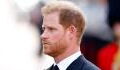 Prince Harry: Here's why we may not see the monarch in public in the future