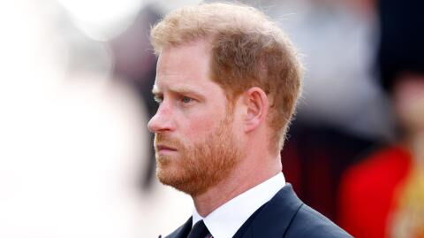 Prince Harry: This is why we may not see the monarch in public in the future