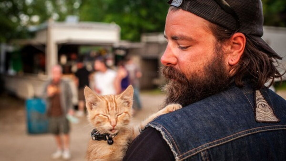 Ce Biker A Sauve Et Adopte Un Chaton Qui Avait Ete Abandonne