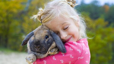 Ces signes infaillibles qui montrent que votre lapin vous adore !