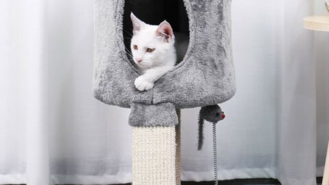 Feandrea Arbre à chat 142 cm, gris/beige