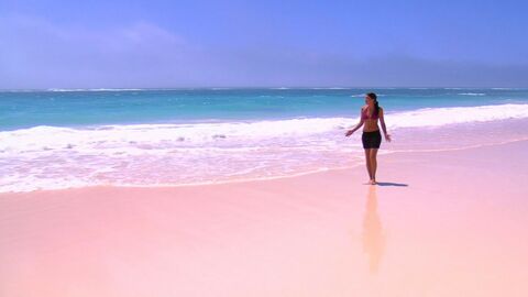 Voici à quoi ressemble vraiment la fameuse plage de sable rose aux Bahamas