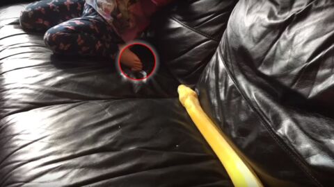Un python adulte s'approche silencieusement d'une fillette en train de regarder la télé sur le canapé