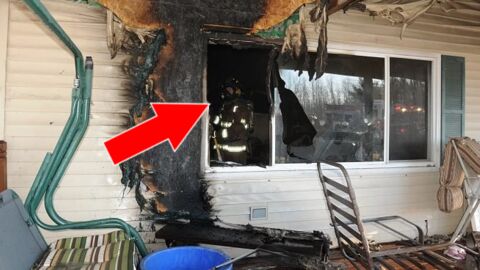 Une femme perd ses 2 chats dans l'incendie de sa maison. Mais 2 mois plus tard, la surprise est totale !
