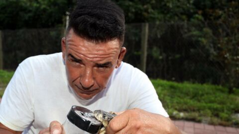 Albert Killian : il partage sa vie avec plus de 60 serpents les plus dangereux du monde