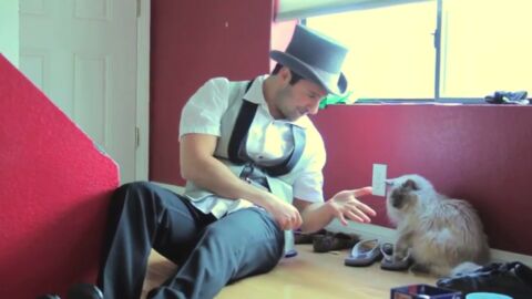 Ce magicien essaye de faire des tours à des chats. Ce n'est franchement pas gagné