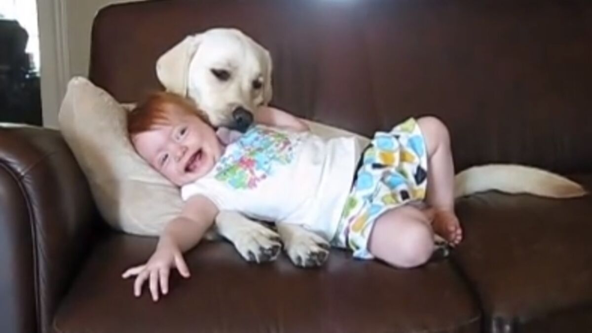 Cette petite fille adore son chien. Découvrez leur amitié attendrissante