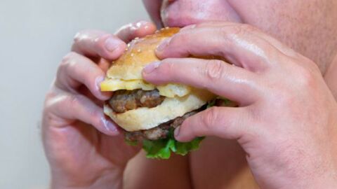 La quasi-totalité des hamburgers contient des traces de matières fécales
