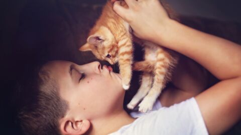 5 Conseils Pour Rendre Votre Chat Encore Plus Calin