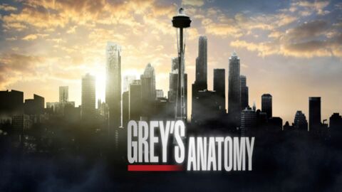 Grey's Anatomy : une nouvelle tête au casting