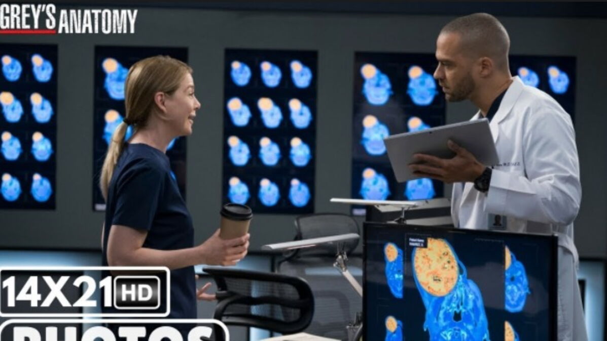 Grey's Anatomy Saison 14 Streaming Vostfr Episode 21 Regarder Streaming