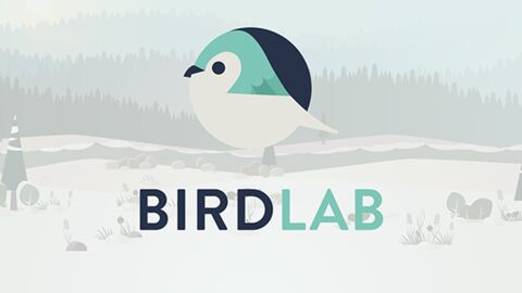 BirdLab, l’appli ludique et craquante pour compter les oiseaux du jardin