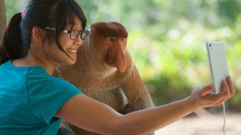 Les selfies mettent en danger les animaux exotiques !