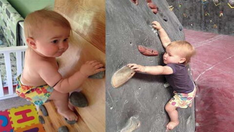 A Meme Pas Deux Ans Elle Escalade Des Parois De Plus De 2 Metres Sans Aucune