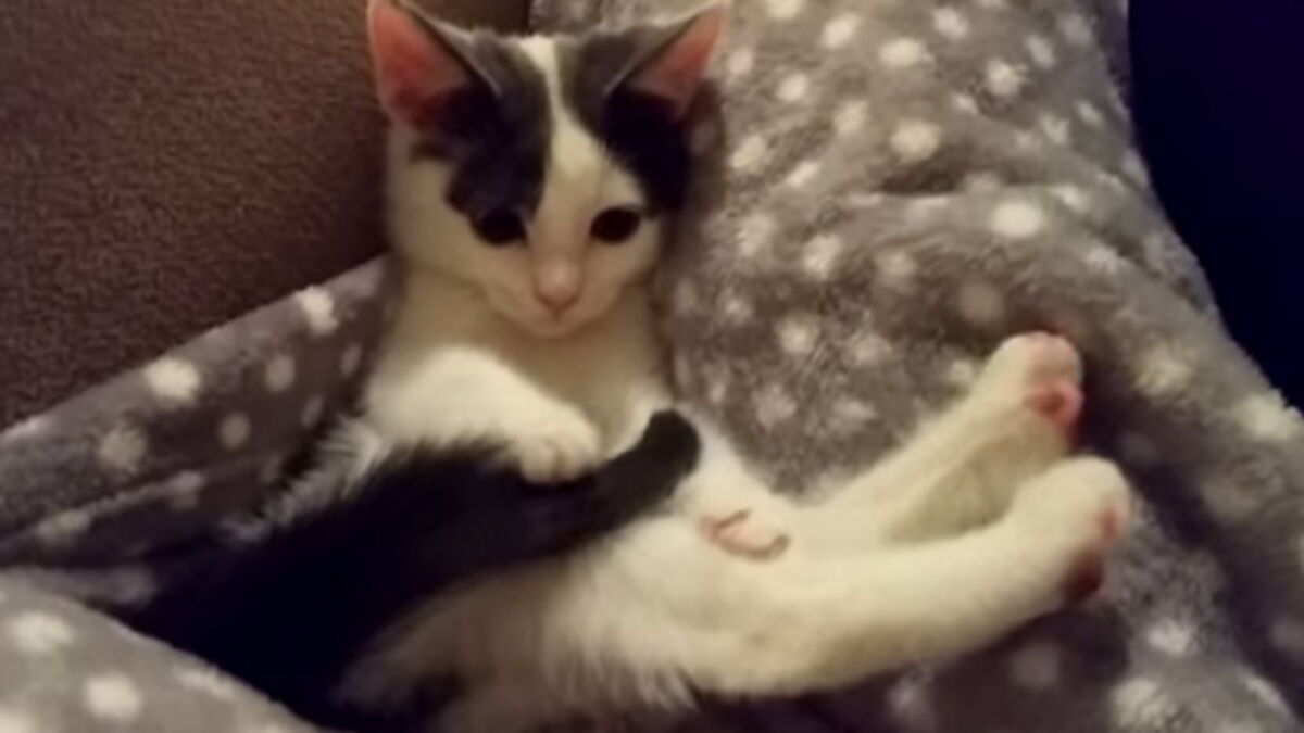 Il ne suffit pas de grand