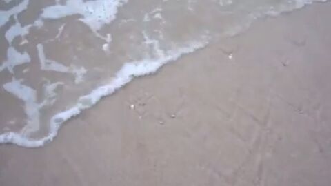 Une vague balaye quelque chose d'incroyable du sable