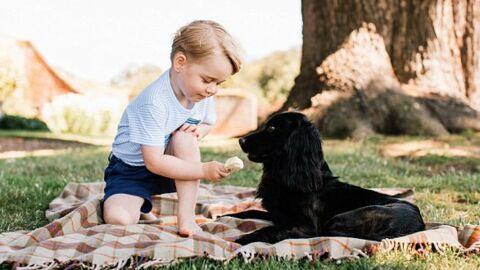 Kate Middleton et le Prince William : une photo du prince George et son chien crée la polémique