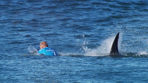 En pleine compétition, un surfeur échappe à une attaque de requin