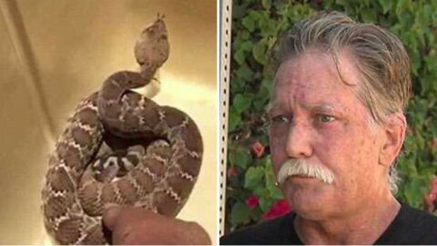 Il voulait prendre un selfie avec un serpent à sonnette, il va rapidement le regretter