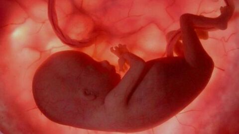 Un fœtus retrouvé dans le ventre de ce petit garçon de 4 ans !