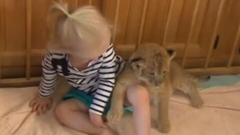 Cette petite fille a un nouvel animal de compagnie. Et ce n'est pas un chat comme les autres