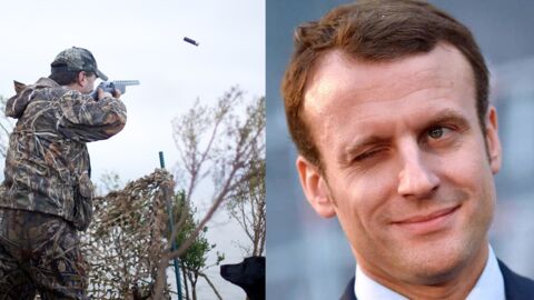 Lobby : Emmanuel Macron autorise à nouveau la chasse à l’oie cendrée !