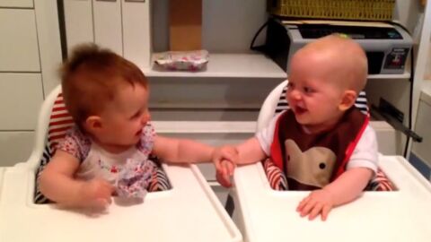 Deux bébés jumeaux très complices ont une incroyable crise de fou rire