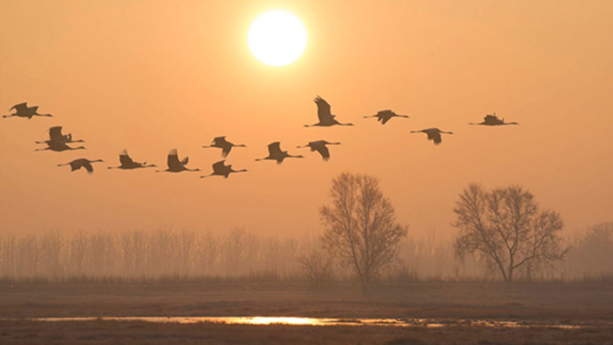 Dans quelques jours, on vous conseille vivement de lever les yeux au ciel
