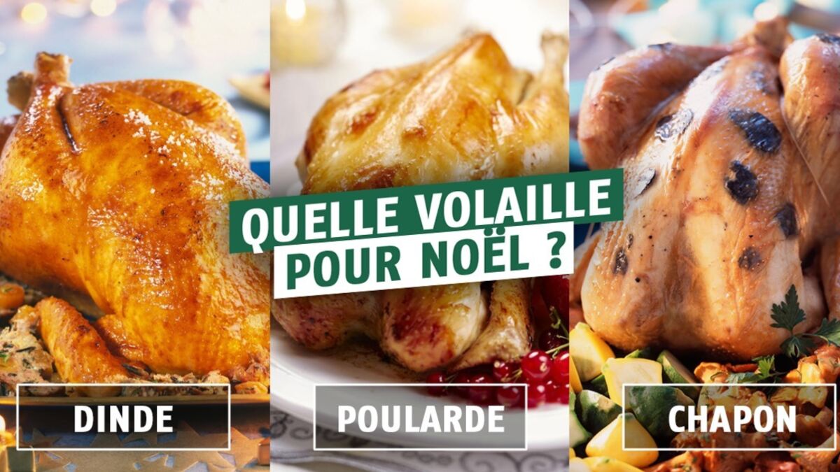 Noël Comment bien choisir sa volaille pour le réveillon