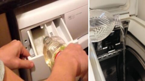 Voilà pourquoi vous devriez absolument mettre du vinaigre dans votre machine à laver !