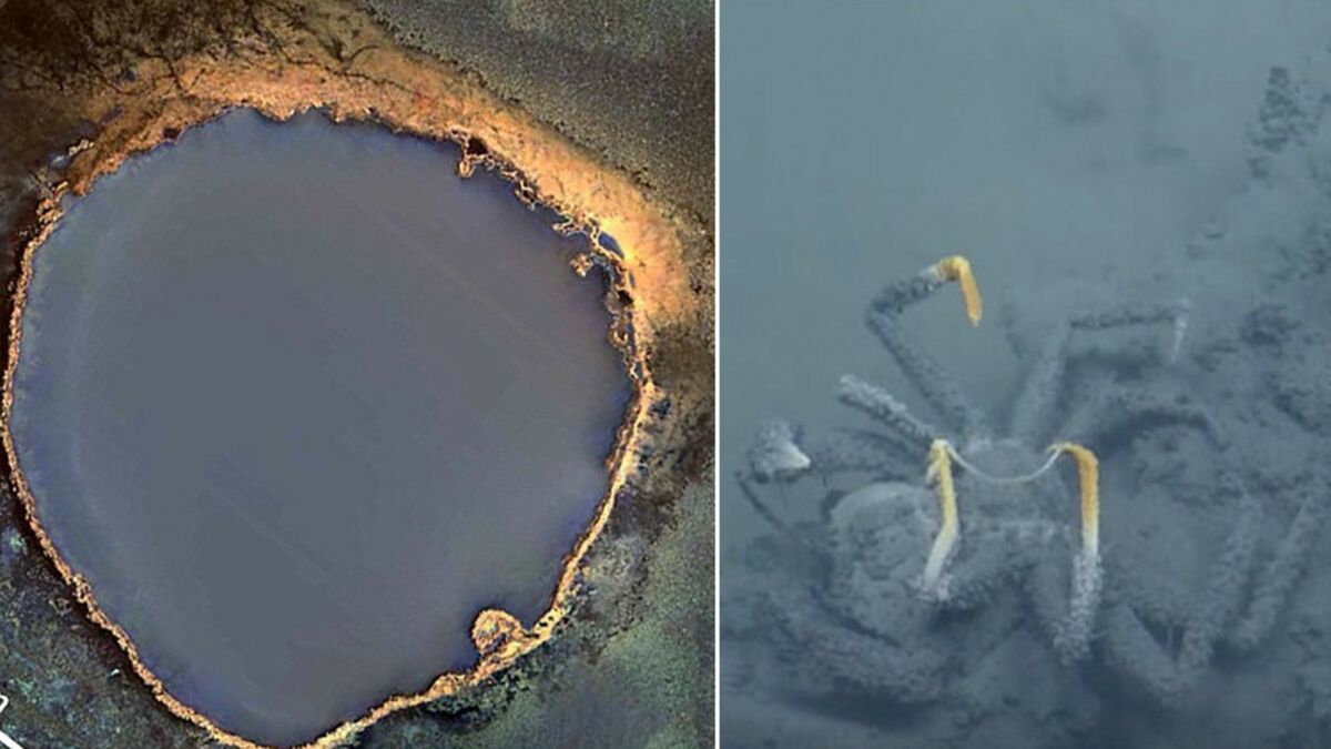 Los científicos descubren el “remolino de la desesperación”, un lago submarino mortal