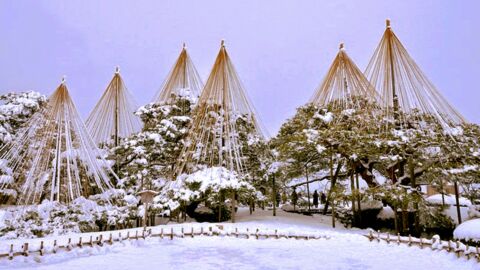 Yukitsuri : mais à quoi servent ces structures étranges qui coiffent les arbres des jardins japonais l'hiver ?