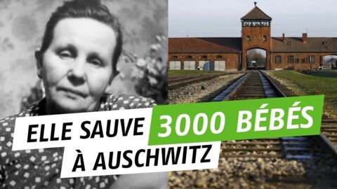 Sage-femme à Auschwitz, elle a fait accoucher près de 3000 bébés et a tenté de les sauver du camp d'extermination