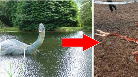Le monstre du Loch Ness a t-il été retrouvé mort ?