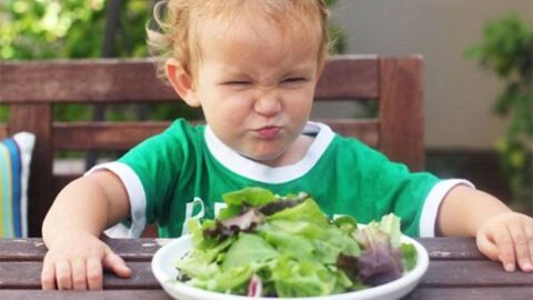 Un enfant alerte la police car il refuse de manger... de la salade