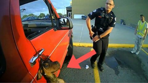 2 policiers découvrent un chien pendu par la vitre de sa voiture