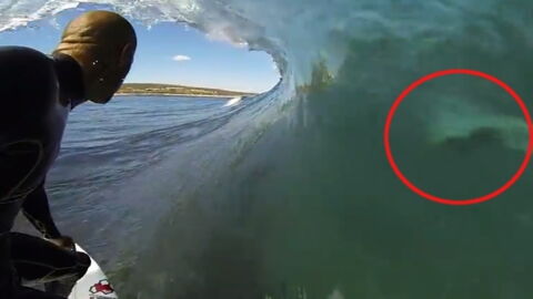rencontre surfeur