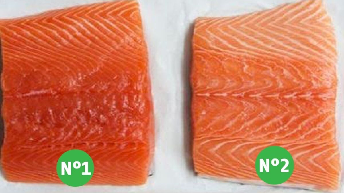 Quelles vertus et quels risques pour le saumon ?