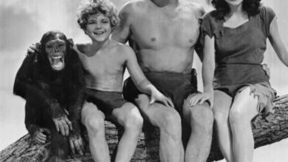 De Quoi Est Mort Johnny Weissmüller Vidéo Cheeta, Le compagnon de Tarzan est mort