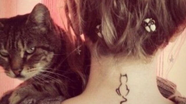 15 Tatouages Que Les Fans De Chats Vont Absolument Vouloir Avoir