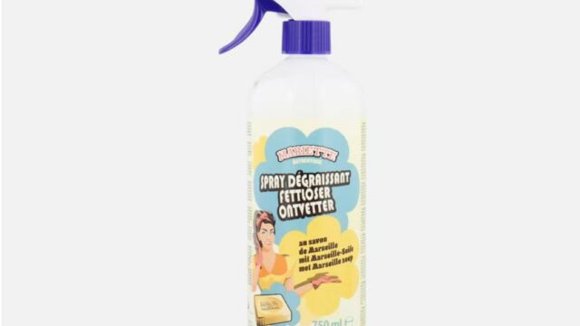 Mon avis sur le produit nettoyant anti-moisissure et détachant de chez  Action