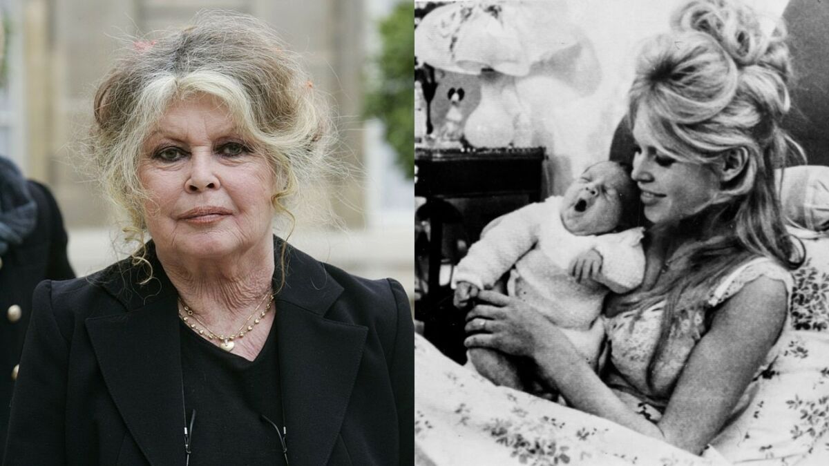 Brigitte Bardot “pas assez mûre pour être mère” : elle se confie sur sa  maternité dure à assumer