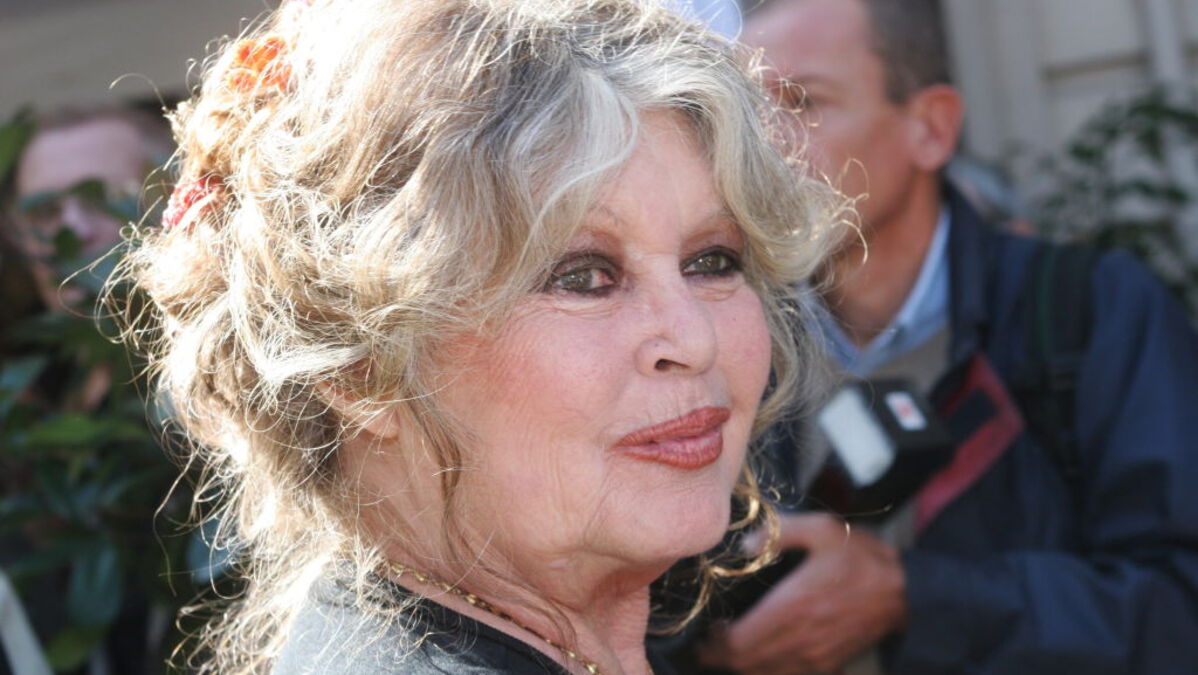 Brigitte Bardot et Philippe Gassot : révélations sur une histoire d'amour secrète