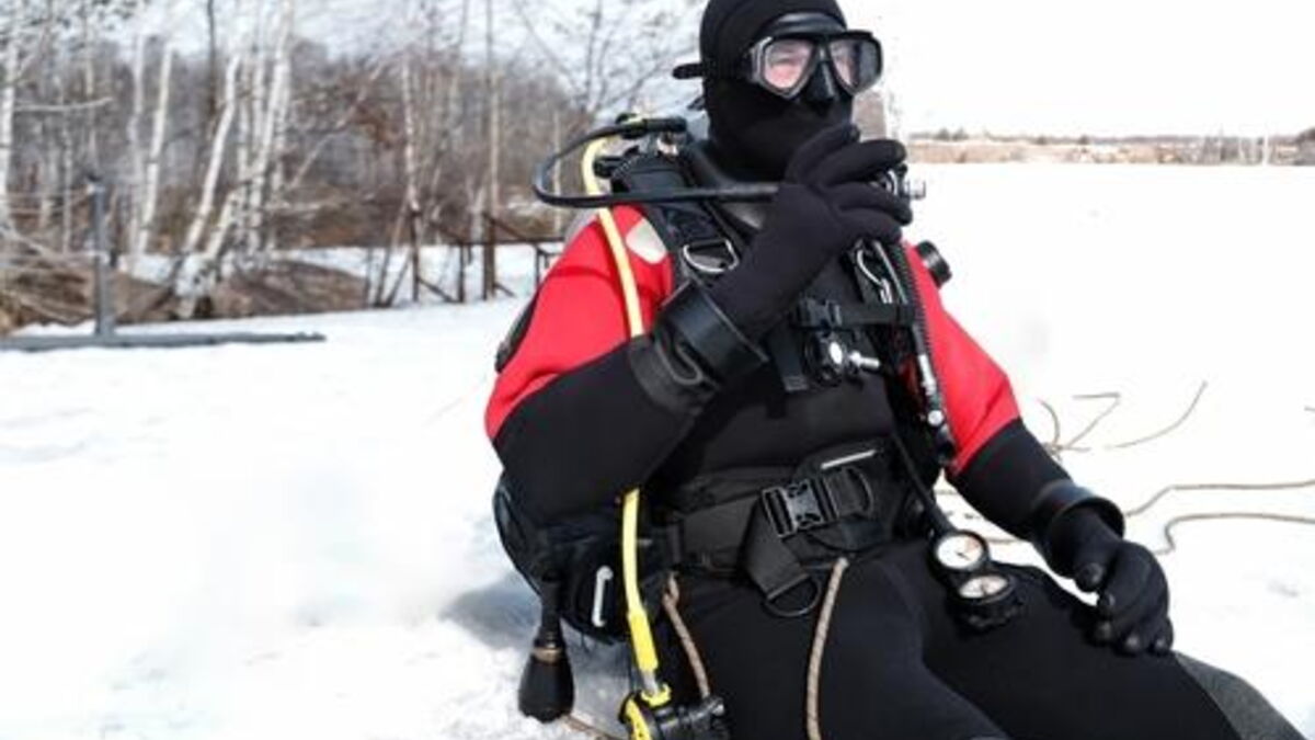 Disparition d’un plongeur en Antarctique : que s’est-il passé sous la glace de Terre Adélie ?