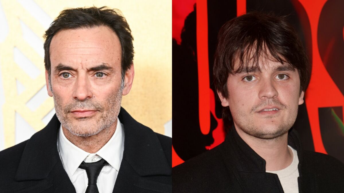 Alain Delon : l'étrange souhait qu'il a demandé à ses enfants avant sa mort