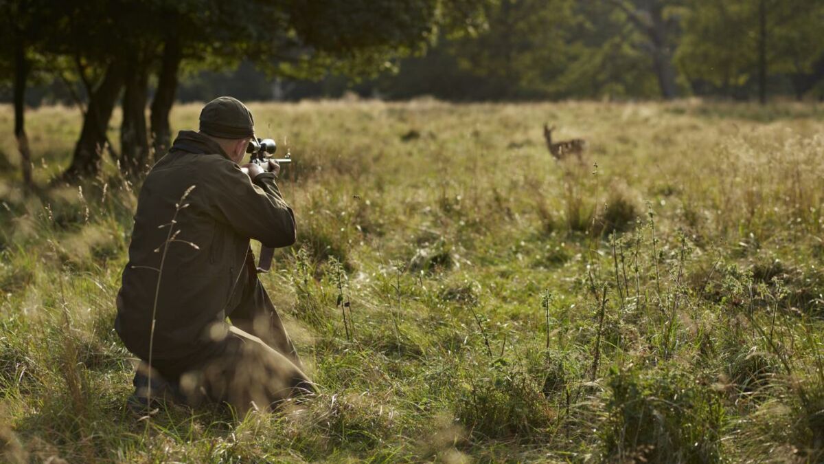 Un Chasseur Tire Sur Un Rapace Prot G Et Se Fait Poursuivre En Justice