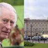 Non, le roi Charles III n’est pas mort ! L’ambassade britannique dément la fausse rumeur