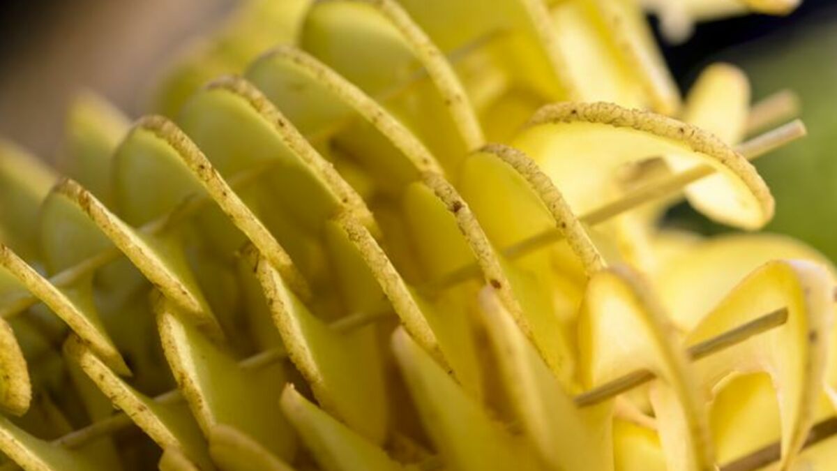 Astuce pour fabriquer un coupe-patates en spirales sans dépenser